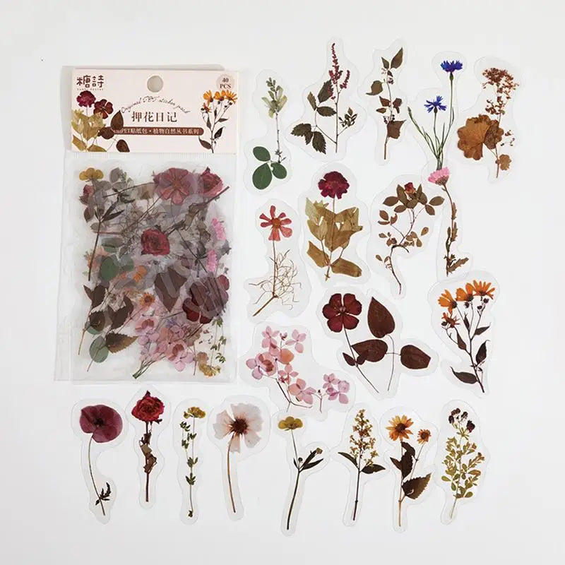 1sets Retro Plant English PET Deco Stickers Plant Flower Leaf Transparent Bullet Journaling Accessories Aesthetic Stickers