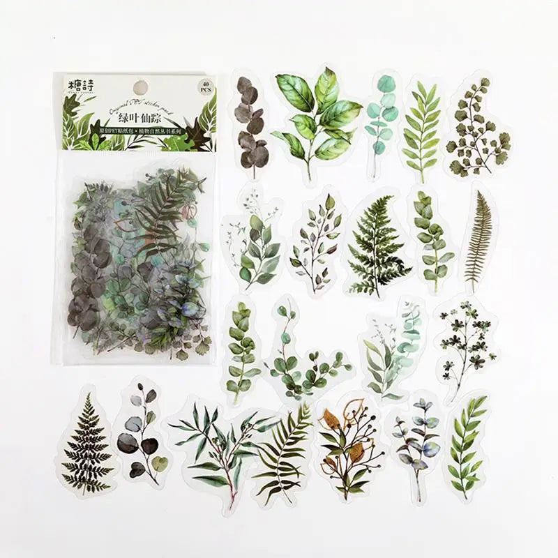 1sets Retro Plant English PET Deco Stickers Plant Flower Leaf Transparent Bullet Journaling Accessories Aesthetic Stickers